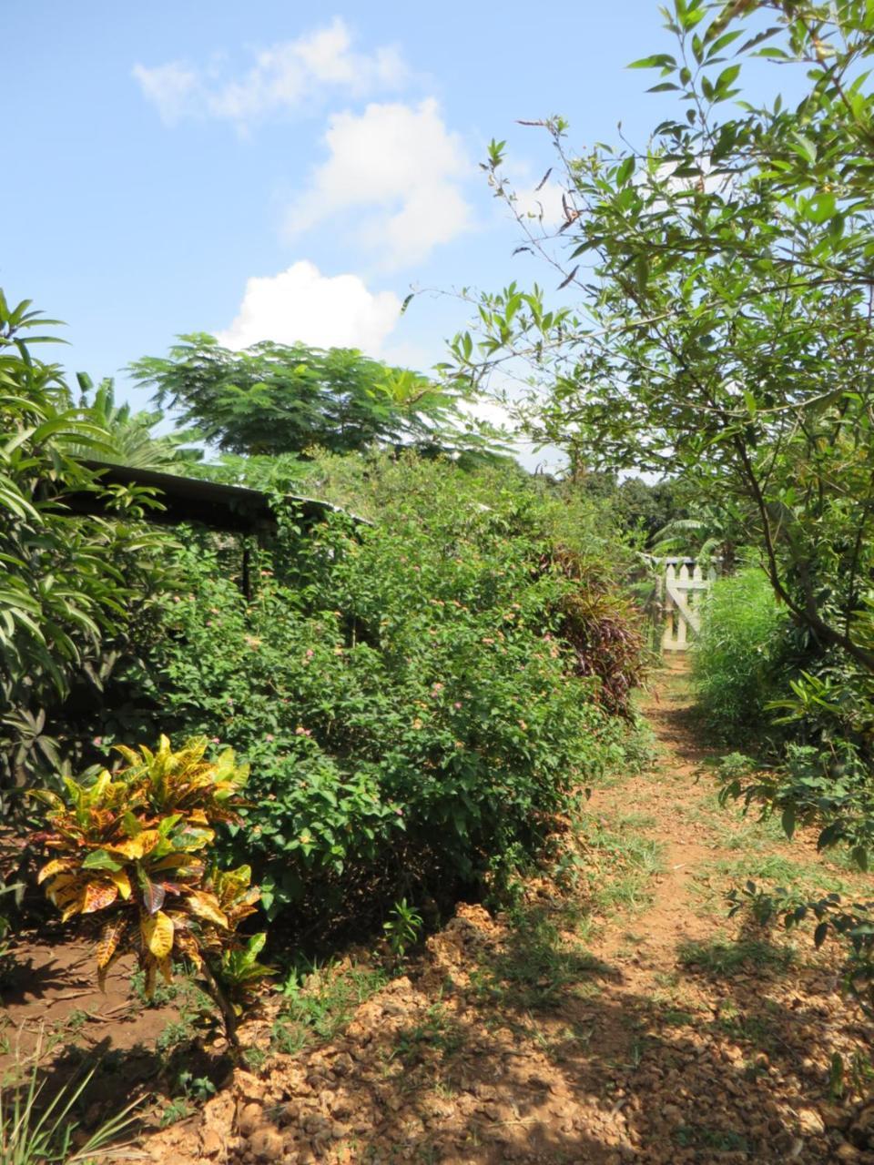 Bahati Diani House Glamping Diani Beach Eksteriør billede