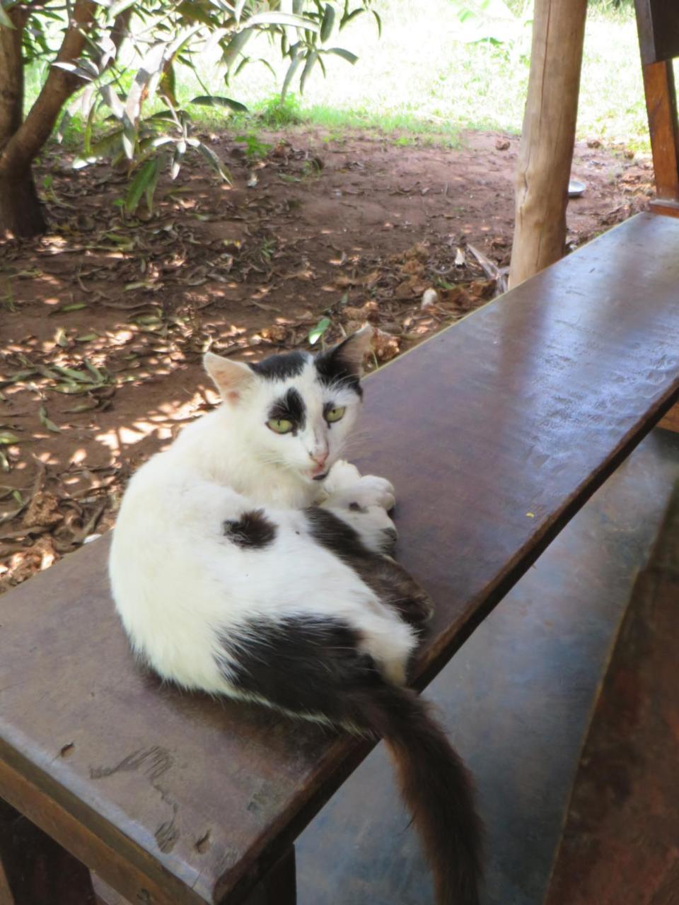 Bahati Diani House Glamping Diani Beach Eksteriør billede