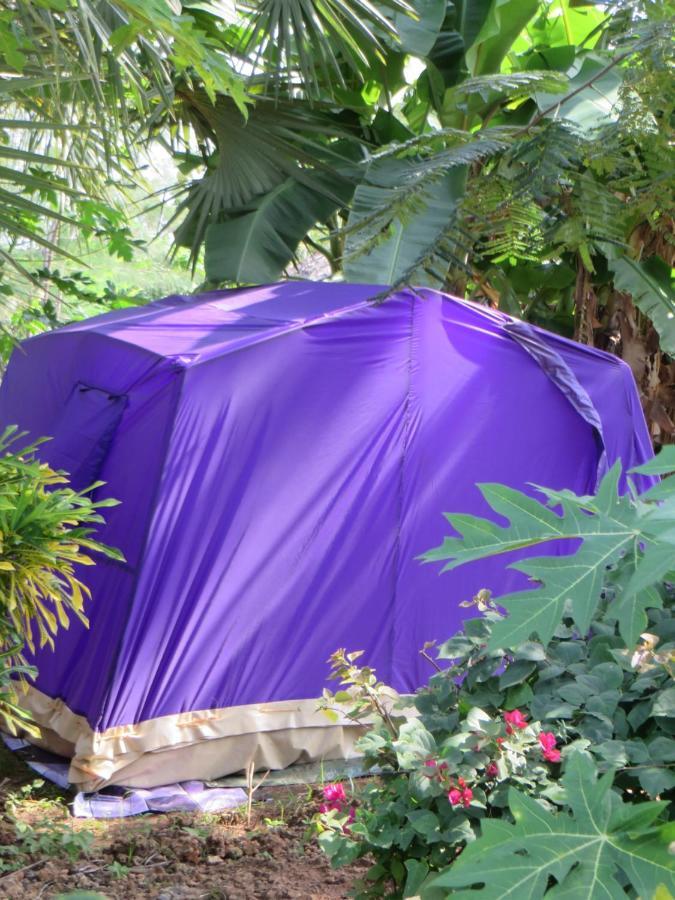 Bahati Diani House Glamping Diani Beach Eksteriør billede