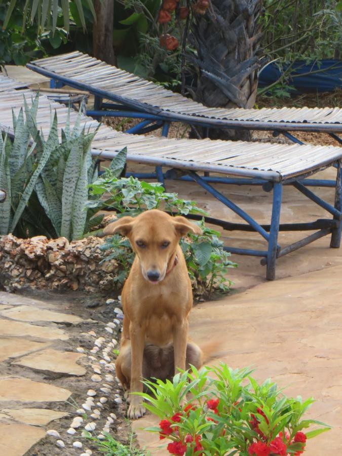 Bahati Diani House Glamping Diani Beach Eksteriør billede